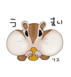 8匹の茶色い動物たちʕ•ᴥ•ʔ（個別スタンプ：16）