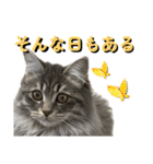 ルイの日常スタンプ♪♪（個別スタンプ：21）
