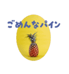 Shumi Photographyオリジナルスタンプ（個別スタンプ：2）