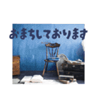 Shumi Photographyオリジナルスタンプ（個別スタンプ：4）