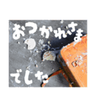 Shumi Photographyオリジナルスタンプ（個別スタンプ：7）