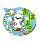 B＆Wシーズー犬 「毎日送りやすい」でか文字（個別スタンプ：1）