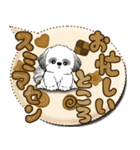 B＆Wシーズー犬 「毎日送りやすい」でか文字（個別スタンプ：5）