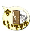 B＆Wシーズー犬 「毎日送りやすい」でか文字（個別スタンプ：6）