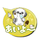 B＆Wシーズー犬 「毎日送りやすい」でか文字（個別スタンプ：7）