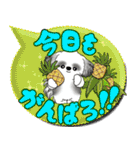 B＆Wシーズー犬 「毎日送りやすい」でか文字（個別スタンプ：9）