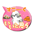 B＆Wシーズー犬 「毎日送りやすい」でか文字（個別スタンプ：11）