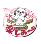 B＆Wシーズー犬 「毎日送りやすい」でか文字（個別スタンプ：12）