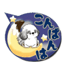 B＆Wシーズー犬 「毎日送りやすい」でか文字（個別スタンプ：13）