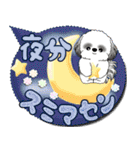 B＆Wシーズー犬 「毎日送りやすい」でか文字（個別スタンプ：14）