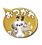 B＆Wシーズー犬 「毎日送りやすい」でか文字（個別スタンプ：17）