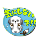 B＆Wシーズー犬 「毎日送りやすい」でか文字（個別スタンプ：18）