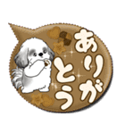 B＆Wシーズー犬 「毎日送りやすい」でか文字（個別スタンプ：20）