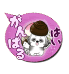 B＆Wシーズー犬 「毎日送りやすい」でか文字（個別スタンプ：22）