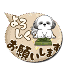 B＆Wシーズー犬 「毎日送りやすい」でか文字（個別スタンプ：24）