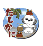 B＆Wシーズー犬 「毎日送りやすい」でか文字（個別スタンプ：26）