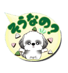 B＆Wシーズー犬 「毎日送りやすい」でか文字（個別スタンプ：29）