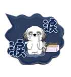 B＆Wシーズー犬 「毎日送りやすい」でか文字（個別スタンプ：31）