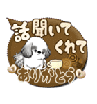 B＆Wシーズー犬 「毎日送りやすい」でか文字（個別スタンプ：38）