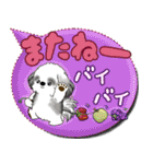 B＆Wシーズー犬 「毎日送りやすい」でか文字（個別スタンプ：39）