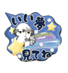 B＆Wシーズー犬 「毎日送りやすい」でか文字（個別スタンプ：40）