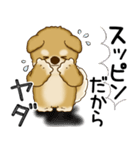 柴犬 2025 「文句と心の声」（個別スタンプ：3）