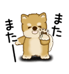 柴犬 2025 「文句と心の声」（個別スタンプ：8）