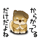 柴犬 2025 「文句と心の声」（個別スタンプ：11）