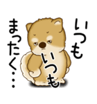 柴犬 2025 「文句と心の声」（個別スタンプ：13）