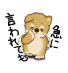 柴犬 2025 「文句と心の声」（個別スタンプ：16）