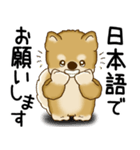 柴犬 2025 「文句と心の声」（個別スタンプ：22）