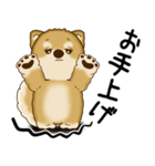 柴犬 2025 「文句と心の声」（個別スタンプ：23）