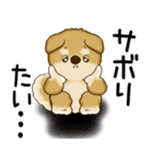 柴犬 2025 「文句と心の声」（個別スタンプ：24）