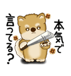 柴犬 2025 「文句と心の声」（個別スタンプ：27）
