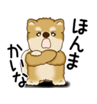 柴犬 2025 「文句と心の声」（個別スタンプ：28）