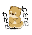 柴犬 2025 「文句と心の声」（個別スタンプ：30）
