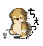 柴犬 2025 「文句と心の声」（個別スタンプ：31）