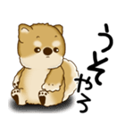 柴犬 2025 「文句と心の声」（個別スタンプ：34）