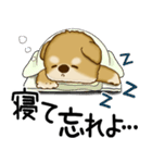 柴犬 2025 「文句と心の声」（個別スタンプ：39）