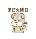 シュールシュナのちょい遅ツッコミ（個別スタンプ：14）