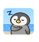 海のペンギン@SFW（個別スタンプ：12）