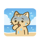 海のネコ2@SFW（個別スタンプ：16）