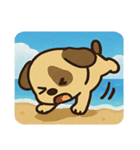 海の犬@SFW（個別スタンプ：6）