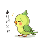 みどりのとりさん今日も元気です（個別スタンプ：19）