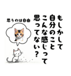 ねこさんの辛口な励まし集（個別スタンプ：4）
