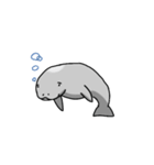 ぼんやりマナティ（個別スタンプ：1）