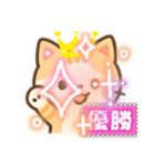 キュートネコ（個別スタンプ：4）