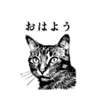 水墨画風 猫スタンプ （AI生成）（個別スタンプ：1）