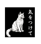 水墨画風 猫スタンプ （AI生成）（個別スタンプ：5）