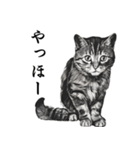 水墨画風 猫スタンプ （AI生成）（個別スタンプ：7）